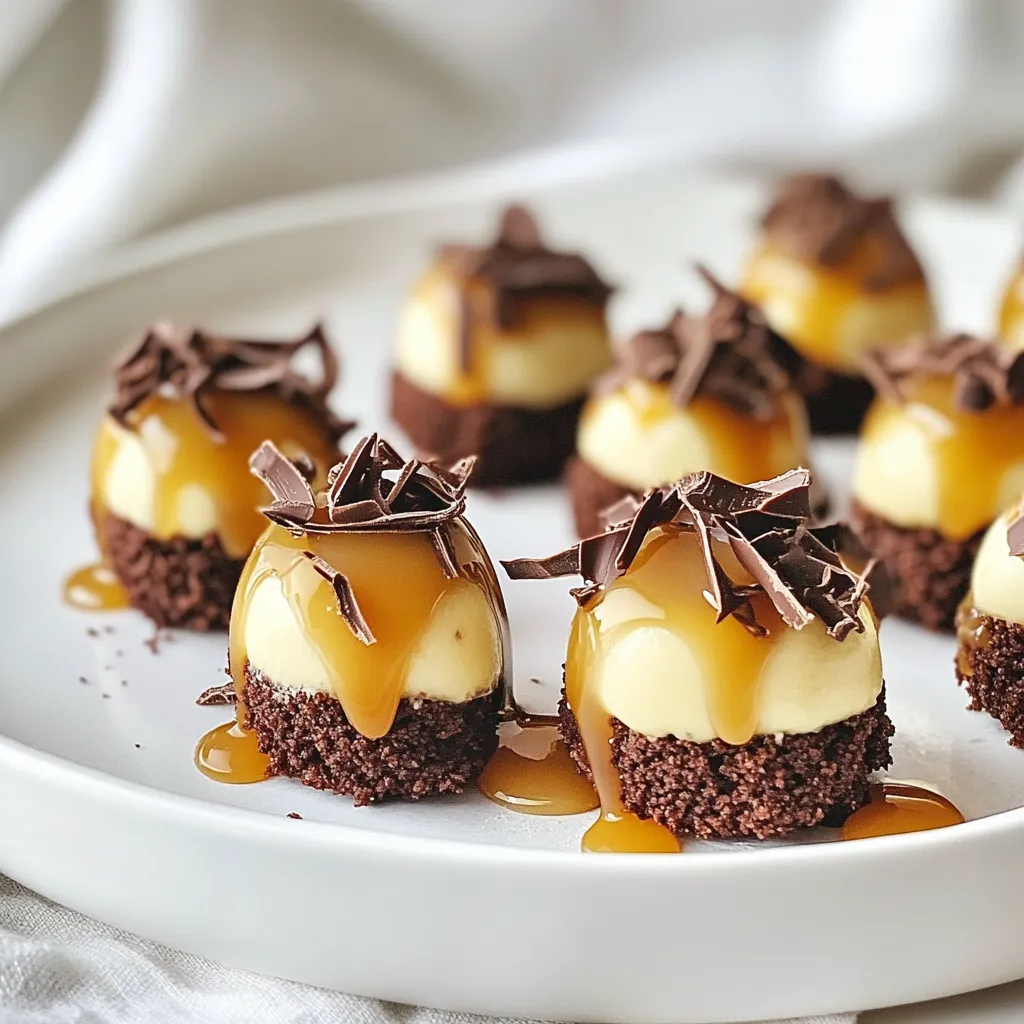 No Bake Chocolate Caramel Cheesecake Bites Delight